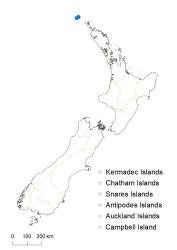 Veronica insularis distribution map based on databased records at AK, CHR & WELT.
 Image: K.Boardman © Landcare Research 2022 CC-BY 4.0